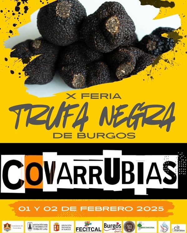 Feria-de-la-Trufa-Covarrubias