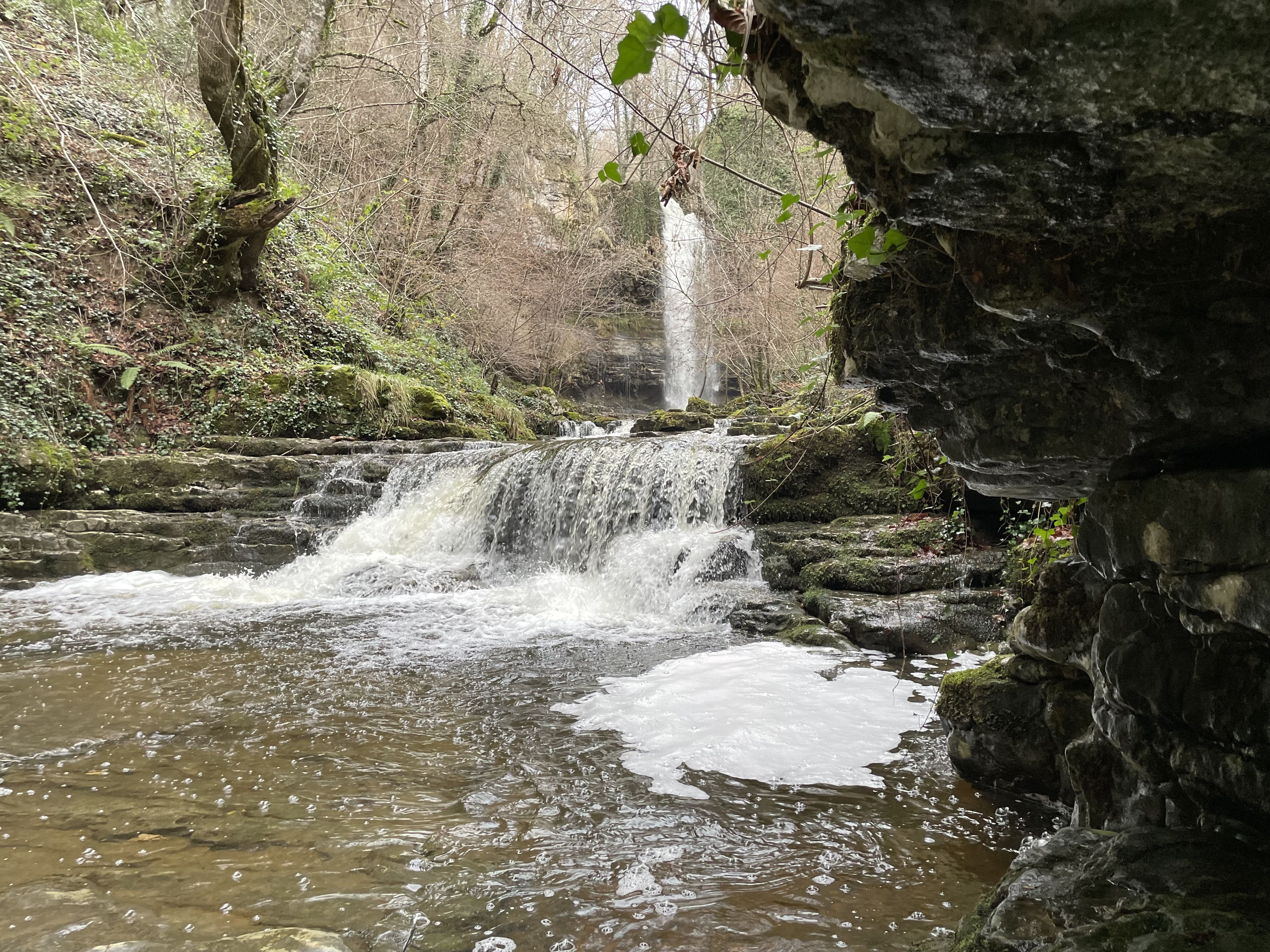 Cascada_de_las_Pisas_Villabáscones_de_Bezana_Valle_de_Valdebezana (138).jpg
