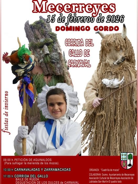 WhatsApp Image 2026-02-14 at 20.28.49.jpeg