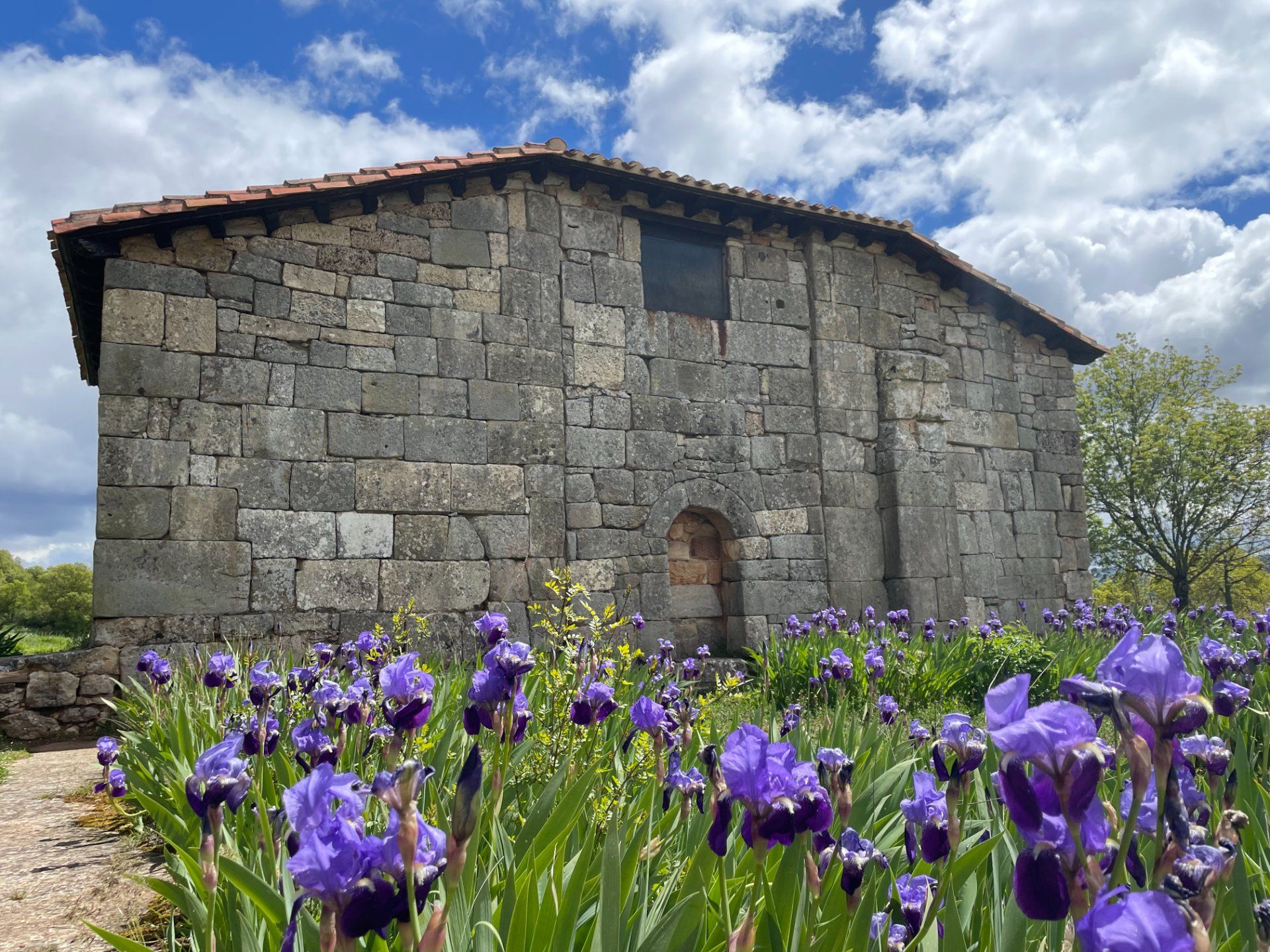 flores-ermita-de-quintanilla-de-las-vinas-burgos.jpg
